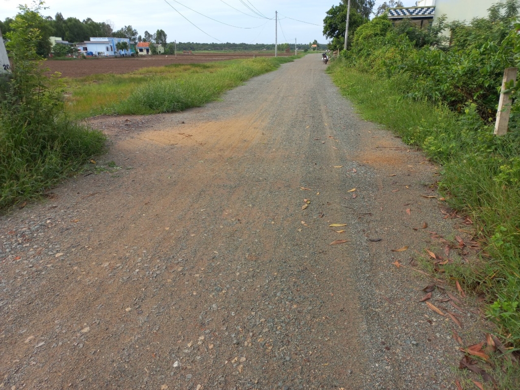Bán gấp 1000m2 đất lúa Óc Đảo Long Hựu, MT xe hơi 7m, giá 1.2 tỷ - Tiềm năng nhà vườn, đầu tư sinh lời