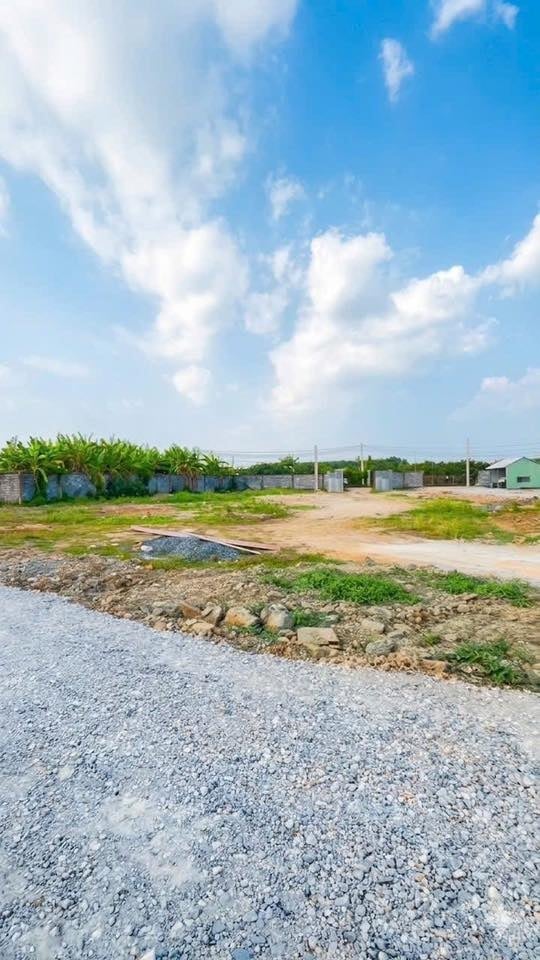 Chủ gửi bán 5 lô liền kề đất sổ riêng, thổ cư ngay kdl bửu long