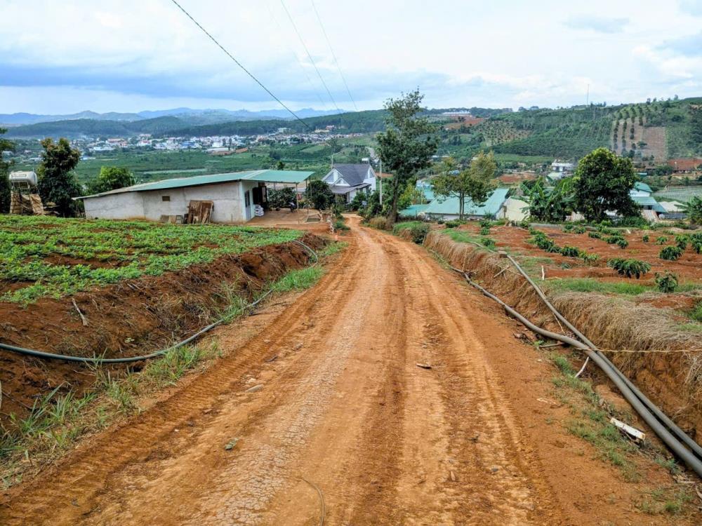 Bán 3ha đất thổ cư mặt tiền đường lớn, Đà Loan, Đức Trọng, Lâm Đồng