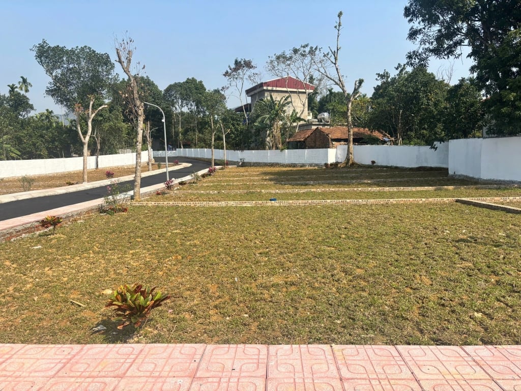 Chỉ hơn 300tr  sở hữu ngay đất trung tâm ba hàng đồi | sổ riêng  sinh lời nhan