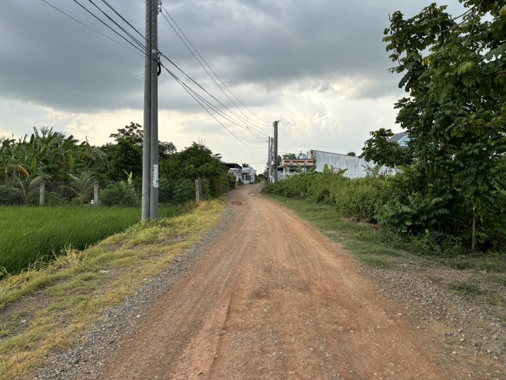 Đất lúa đảo long hựu 1000m2 mt đường 7m giá rẻ đầu tư 2 tỏi 5