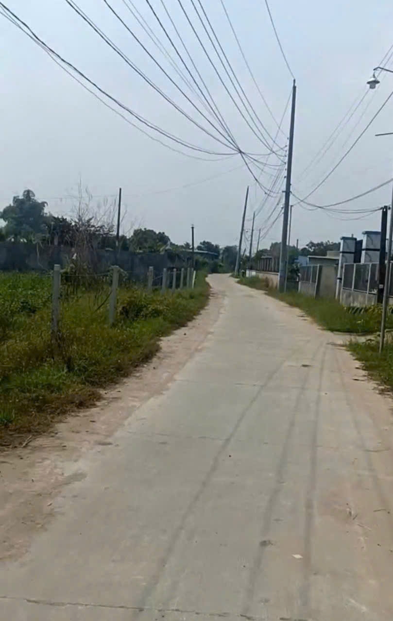 Bán gấp ao 5812m2 mặt tiền đường bê tông Đức Hòa Thượng, Long An - Giá 6.5 tỷ