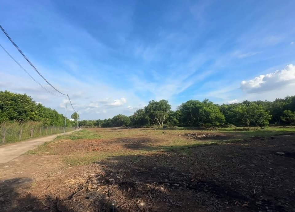 Bán gấp đất sào Suối Tre 6x86m, sát mặt đường nhựa, cách Long Khánh 5 phút